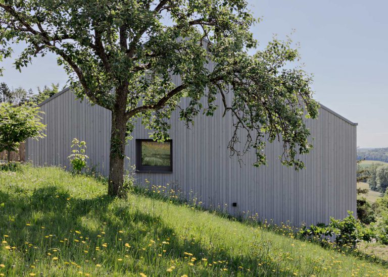 Außenansicht Haus Holz grau Julian Wolf Architektur Mühlacker
